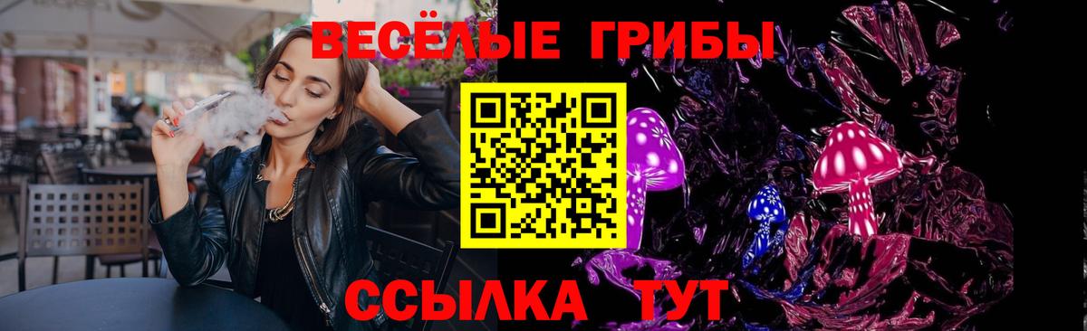 Галлюциногенные грибы MAGIC MUSHROOMS Избербаш